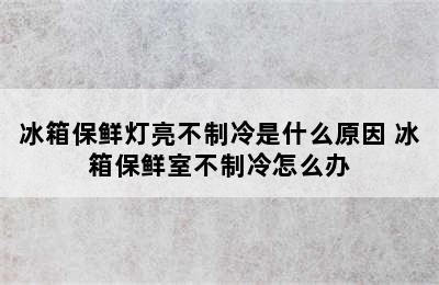 冰箱保鲜灯亮不制冷是什么原因 冰箱保鲜室不制冷怎么办